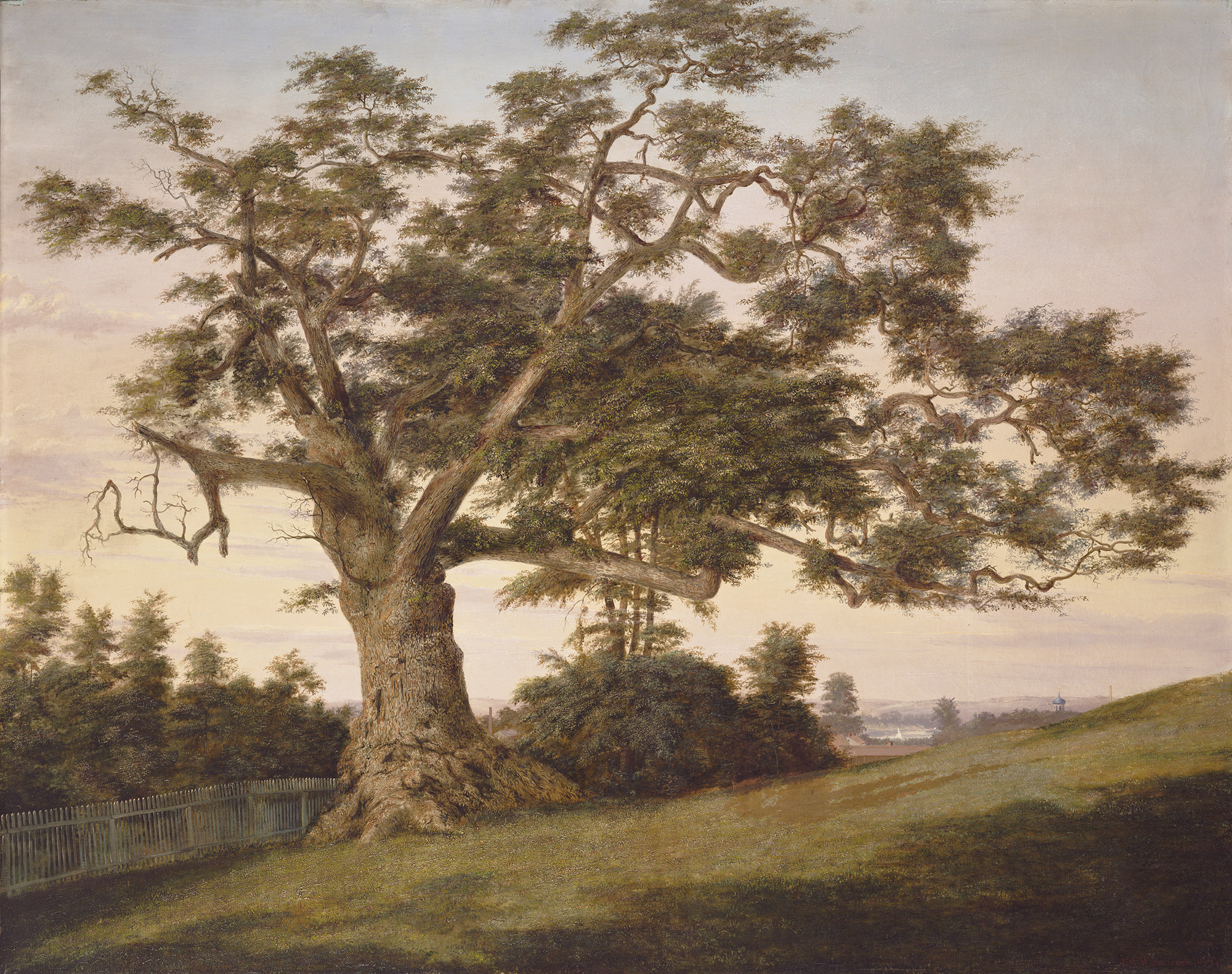 Charles de Wolf Brownell, The Charter Oak, 1857. Oil on canvas. Gift of Mrs. Josephine Marshall Dodge and Marshall Jewell Dodge, in memory of Marshall Jewell.