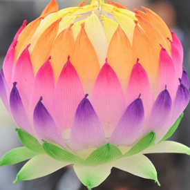 Lotus flower Lantern image