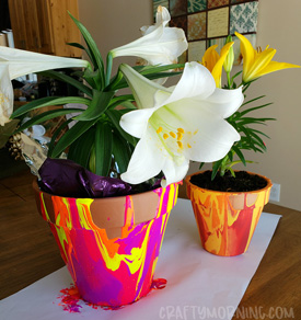 Painted plant pots - image