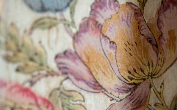 Detail from wallpaper in the Emily Dickinson Museum - Image
