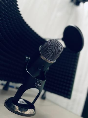 Image of condensor microphone in recording booth