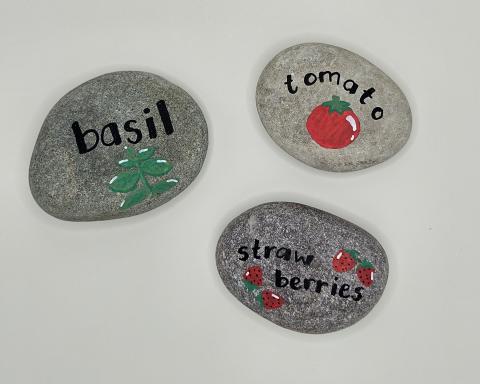 rocks painted with plant names and images