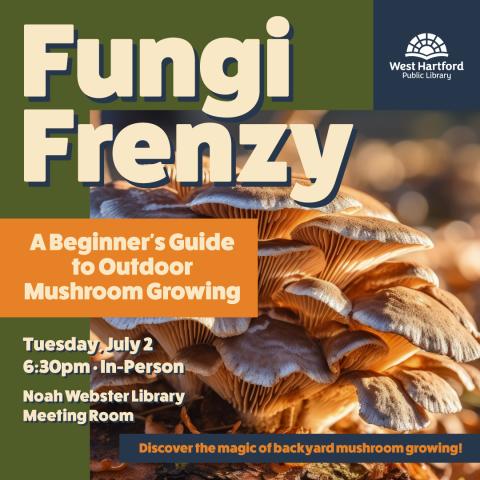 Photo - Fungi Frenzy