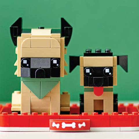 Photo - Lego dogs, Creator set