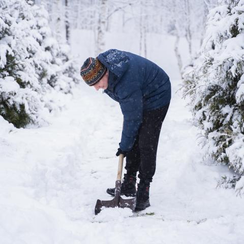 Person shoveling snow