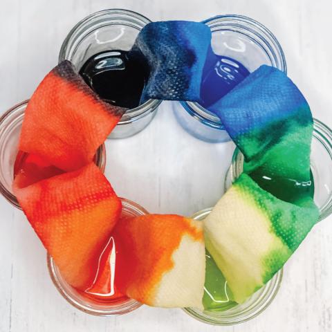 Photo of glass jars with colored water and paper towel dipped in each