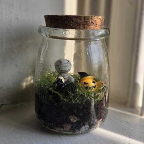 mini terrarium