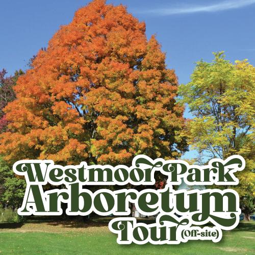 Photo: Westmoor Park