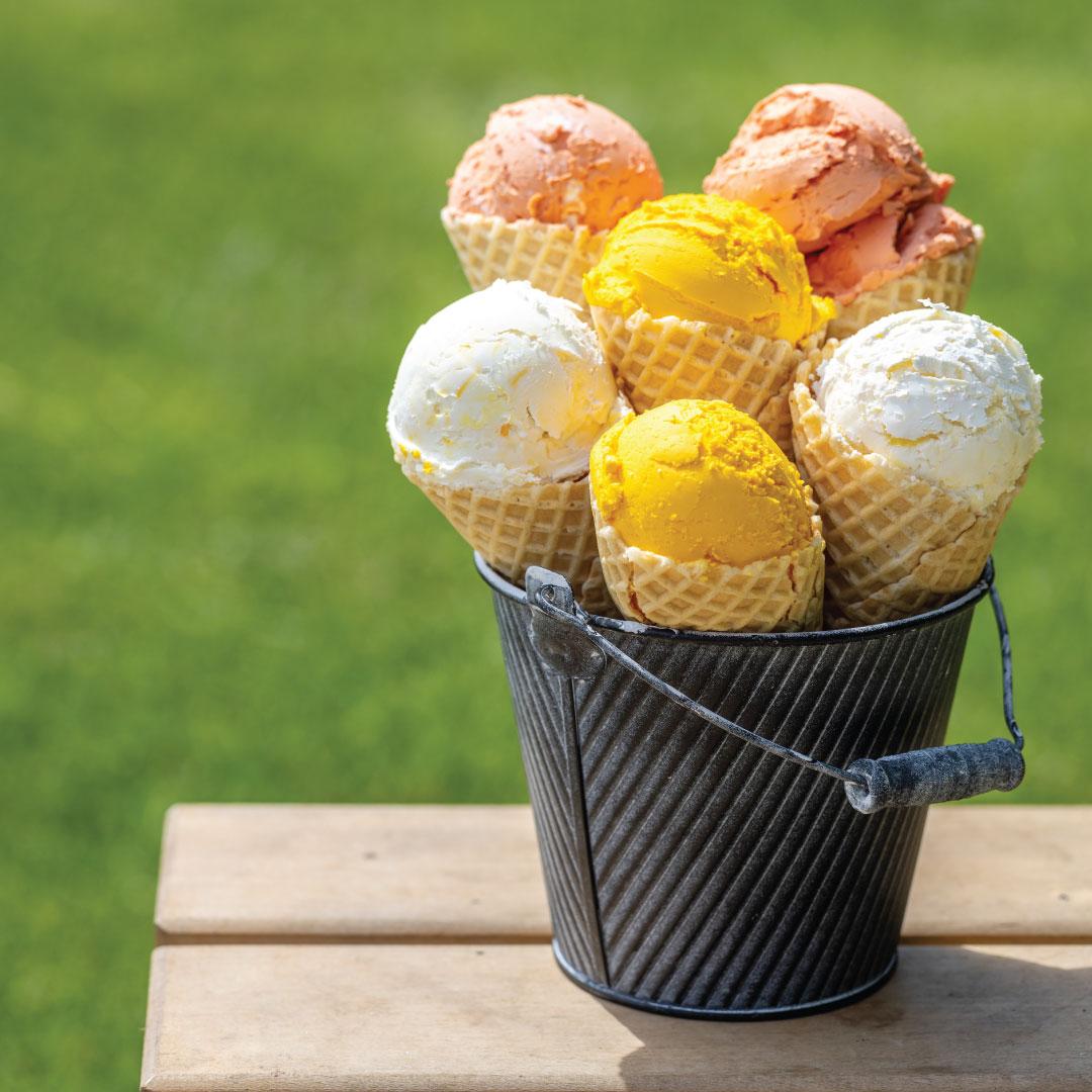 Ice cream cones in a bucket on a bench - photo