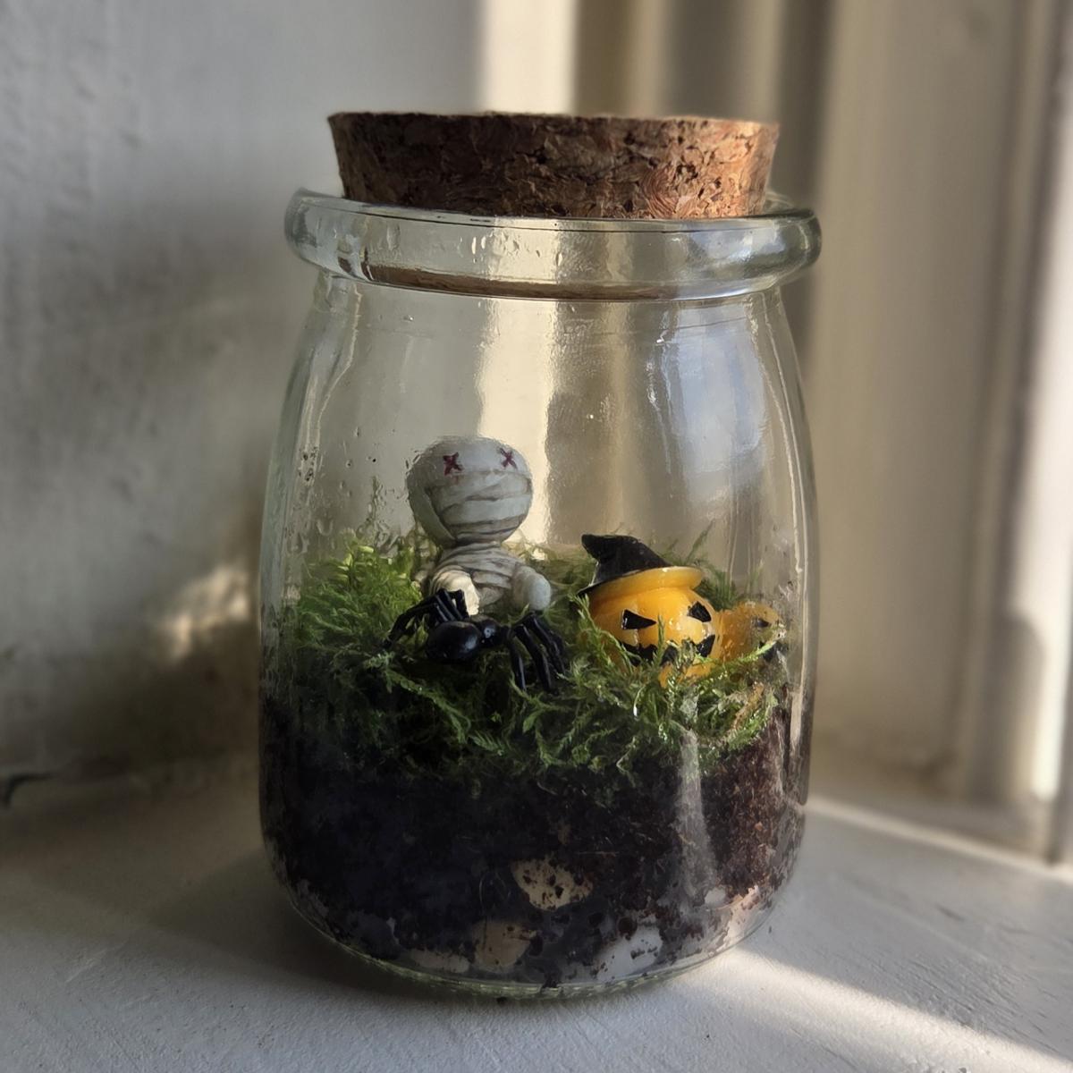 mini terrarium