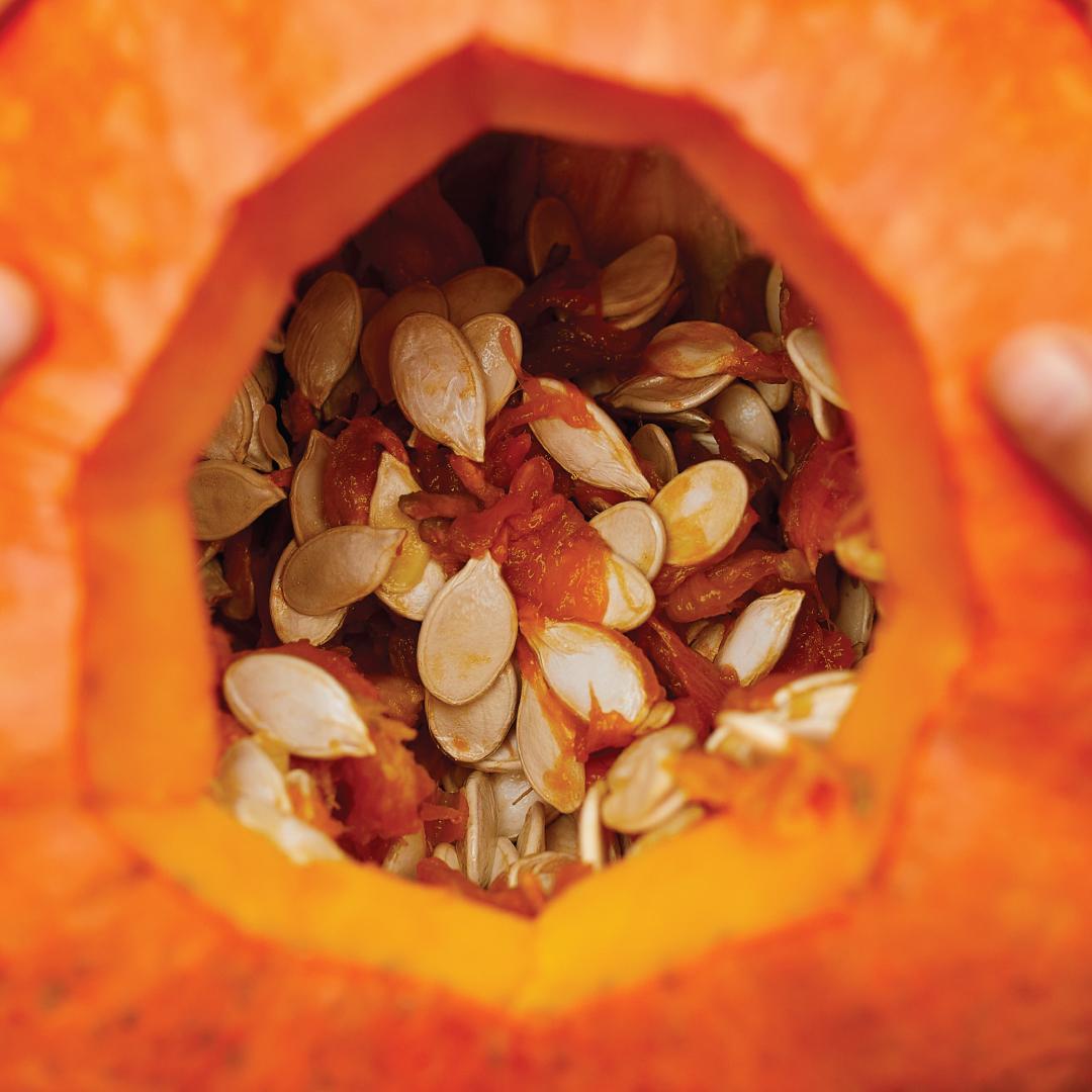 Photo - up close of insides of pumpkin