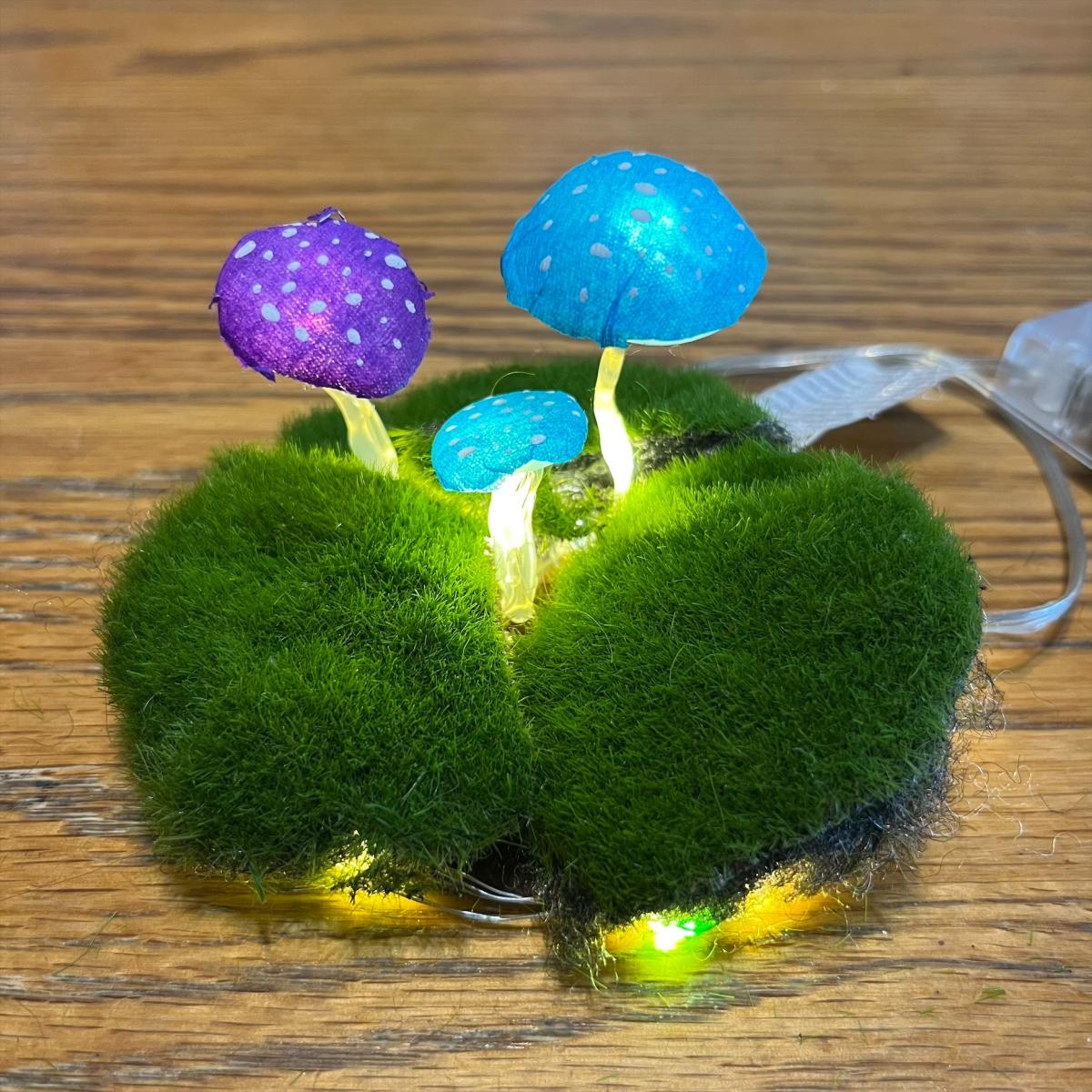 light made of mushrooms and moss